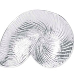 Mariposa Sauce Dish Nautilus Shell