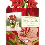 Fresh Cut Paper - Mini Scarlet Amaryllis