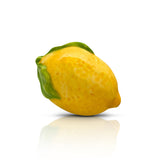 Nora Fleming - Charm - Lemon Mini