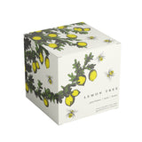 Annapolis Candle - Boxed Candle - Terrace Lemon Tree