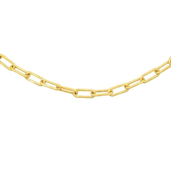 Lola Oval Gold Link Chain