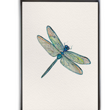 Cardthartic - Dragonfly Boxed Cards